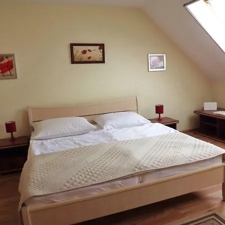 Guest house Vad-virag Vendeghaz *